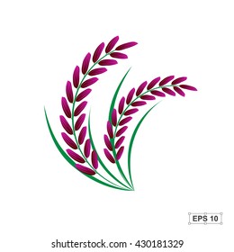 Rice,Rice berry,Vector illustration