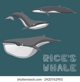 Rice's Whale Cartoon Vector Illustration