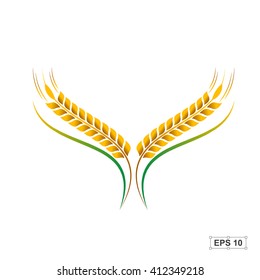 Rice,Vector illustration