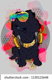 Rich chow chow dog. Cool prtint. Isolaterd vector illustration. 