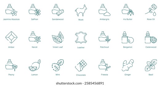 Rich and Floral Fragrance Notes Vector Icon Set