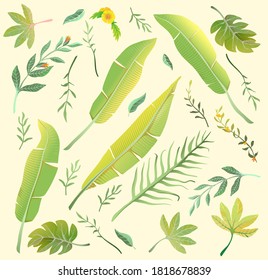 Rich Green leaves and flowers collection bundle. Hand drawn in watercolor style tropical design set of florals. Vector realistic foliage isolated clipart.