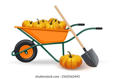 A rich harvest of pumpkins. Farm wheelbarrow filled with ripe appetizing pumpkins. Wheelbarrow with pumpkins isolated on white background. Vector illustration