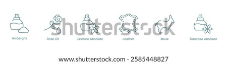 Rich and Sensual Fragrance Notes Vector Icon Set