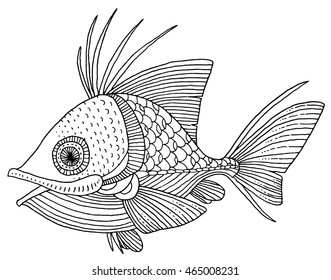richly decorated fish vector hand drawing illustration