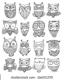 richly decorated owls vector hand drawing illustration set