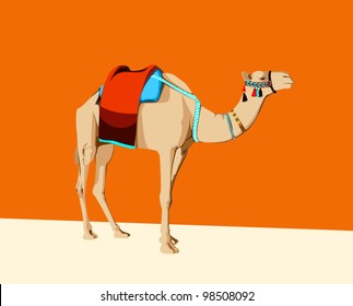 Camel Saddle High Res Stock Images Shutterstock