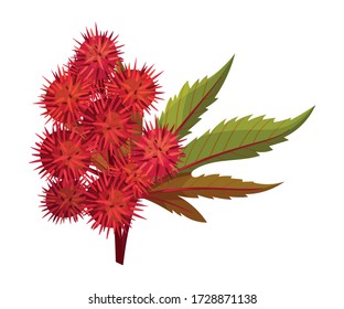 Ricinus or Castor Oil Plant with Green Palmate Leaves and Red Fruit Vector Illustration