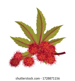 Ricinus or Castor Oil Plant with Green Palmate Leaves and Red Fruit Vector Illustration