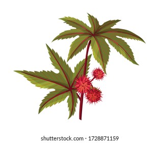 Ricinus or Castor Oil Plant with Green Palmate Leaves and Red Fruit Vector Illustration