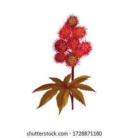 Ricinus or Castor Oil Plant with Green Palmate Leaves and Red Fruit Vector Illustration