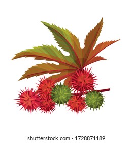 Ricinus or Castor Oil Plant with Green Palmate Leaves and Red Fruit Vector Illustration