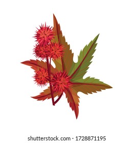 Ricinus or Castor Oil Plant with Green Palmate Leaves and Red Fruit Vector Illustration