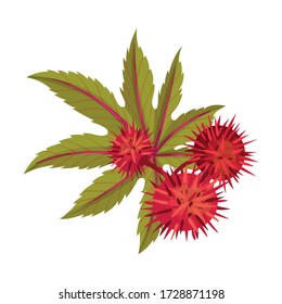 Ricinus or Castor Oil Plant with Green Palmate Leaves and Red Fruit Vector Illustration