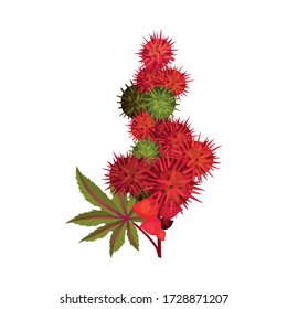 Ricinus or Castor Oil Plant with Green Palmate Leaves and Red Fruit Vector Illustration