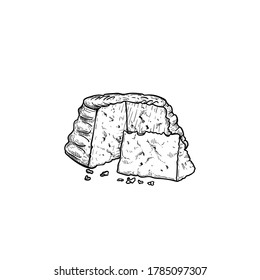 Ricotta cheese head with slice. Hand drawn sketch style drawing of traditional Italian local soft cheese. Vector illustration isolated on white.
