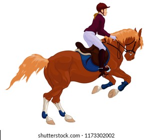 Rider and galloping stallion preparing to leap on a show jumping course. Vector design for horseback riding goods or cross-country equestrianism. Red steed and sportswoman dressed for competitions.