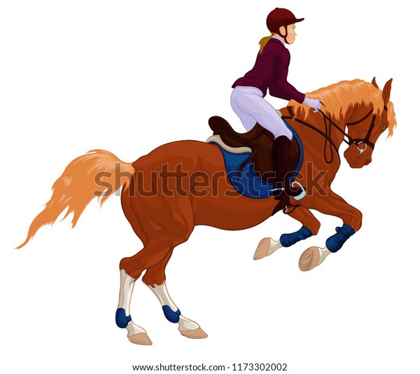 Rider Galloping Stallion Preparing Leap On Stock Vector (Royalty Free ...