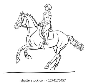 Female Rider Jumping Horse Outline Black Stock Vector (Royalty Free ...