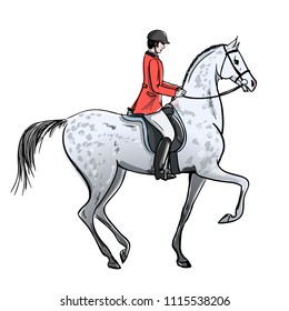 Rider man and dapple grey horse on white. Horseman in red jacket on stallion. England equestrian sport style. Hand drawing vector cartoon illustration.