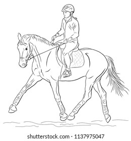 A rider on a horse execute the trot.