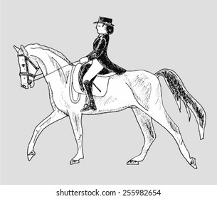 rider on the horse - hand-drawn illustration