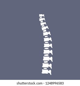 A ridge of bone. Internal human organs. Medical element of anatomy. Back x-ray. White spine and vertebral column on dark blue background. Incorrect posture.