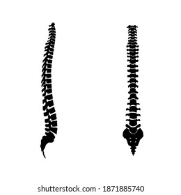 Ridge icon vector set. spine illustration sign collection. anatomy symbol.