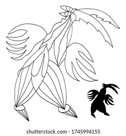 Ridiculous bird. Grotesque character. Cartoon sketch