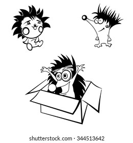 ridiculous black and white hedgehogs