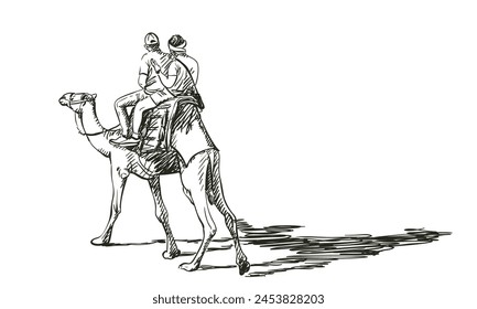 Riding camel, two young men sit on the camel back, their faces are turned away, the camel casts a long shadow, Hand drawn illustration, Vector sketch