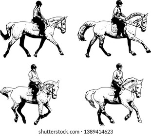 riding horses sketch illustration set - vector