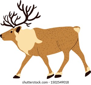 rien deer animals vector isolated illustration on white background. Concept for print, web design, logo, icon, cards