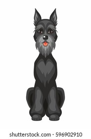 Riesenschnauzer . Vector image of a cute purebred dogs in cartoon style.