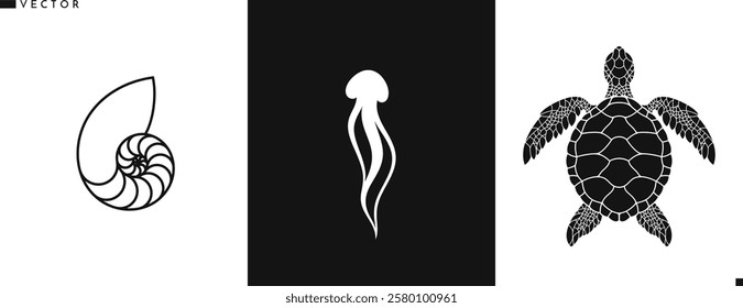 Rife vector illustration. Animal in Australia silhouette. Isolated jellyfish sea turtle and shell 