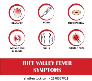 Rift Valley Fever Symptoms, Icon Of Headache, Fever, Photophobia, Intense Pain In Joints, Chills, Muscle Pain