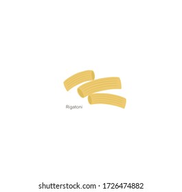 Rigatoni. Realistic dry macaroni various kinds set, pasta assortment, italian cuisine, pasta. Vector illustration on white background. For cards, icon for web design  posters, printed matter.