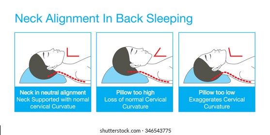 Right Alignment Neck Head Shoulder Sleep Stock Vector (Royalty Free ...