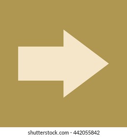 Right Arrow Icon.