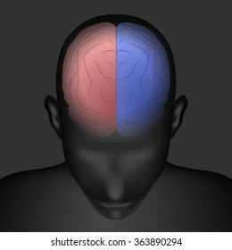 right brain and left brain, human head front top view, vector illustration