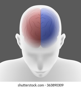 right brain and left brain, human head front top view, vector illustration