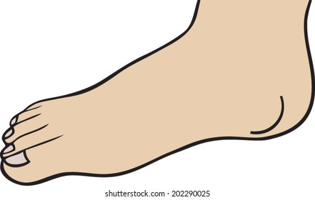 Right Foot Stock Images, Royalty-Free Images & Vectors | Shutterstock