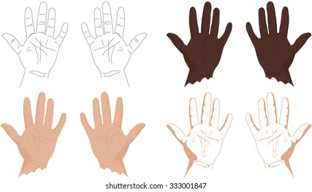 Right and left hands with lines of life, health, success, career and other. Vector illustration