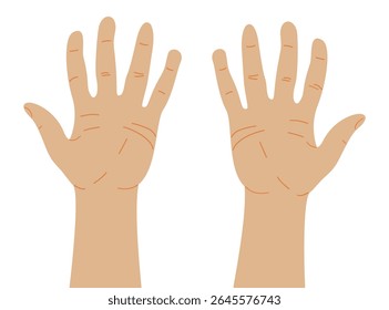 Right and left palms of human hand. Vector illustration isolated on white background.