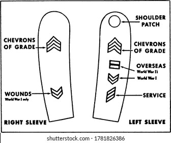 right and left Sleeve Insignia Placement, it is a decorated patch worn on some uniforms of the United States Army, vintage line drawing or engraving illustration.