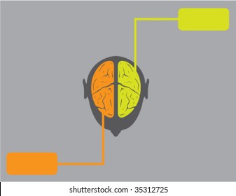 Right N Left Brain Of Human Species