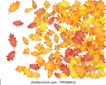 Right side border decoration of oak leaf abstract background seasonal vector illustration. Autumn leaves falling graphic design. Fall season specific vector background. Oak tree autumn foliage.