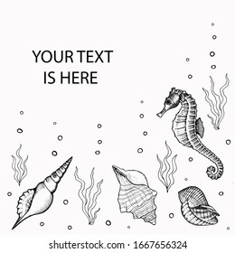 Right side frame with underwater seahorse, shells and seaweed hand drawn doodle outline. Square template for social media with copy space. Stock vector illustration isolated on transparent background.