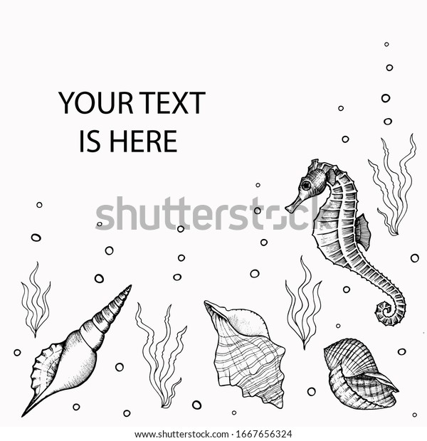 右側のフレームと水中の水上馬 貝殻 海藻の手描きの落書き コピー用のスペースを持つソーシャルメディア用の四角いテンプレート 透明な背景にストックベクター イラスト のベクター画像素材 ロイヤリティフリー