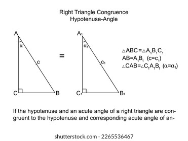 Right Triangle Congruence Hypotenuse-Angle. Two congruent triangles by hypotenuse and acute angle. Isolated on the white background. Vector.